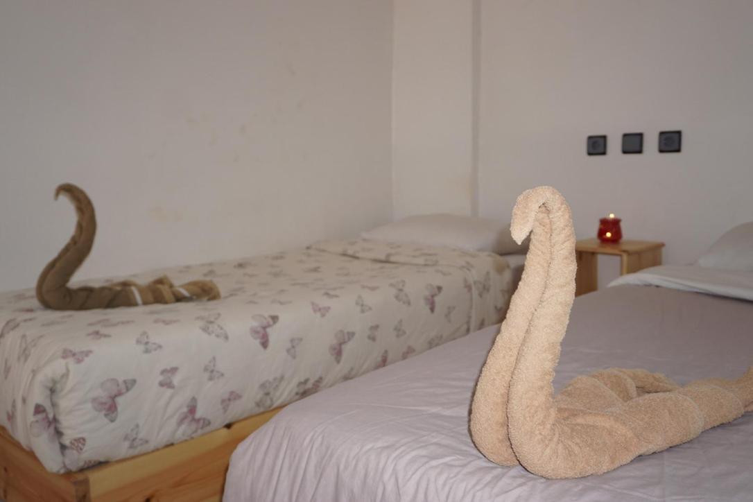 Hostel The Endless House Anchor Point Taghazout Ngoại thất bức ảnh